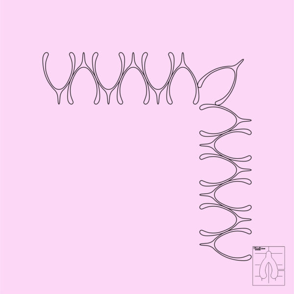 DM Quilting - Wish Bone Templates - Image 2